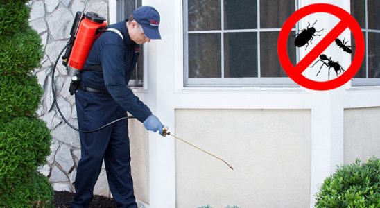Kartal Kemirgen İlaçlama böcek ilaçlama ve haşere kontrolü — ilaclama-tr.com